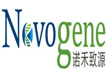 云开体育App最新下载，畅享全新运动体验